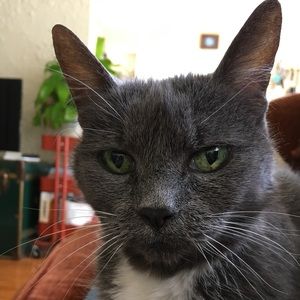 Meet your Posher, Lisa